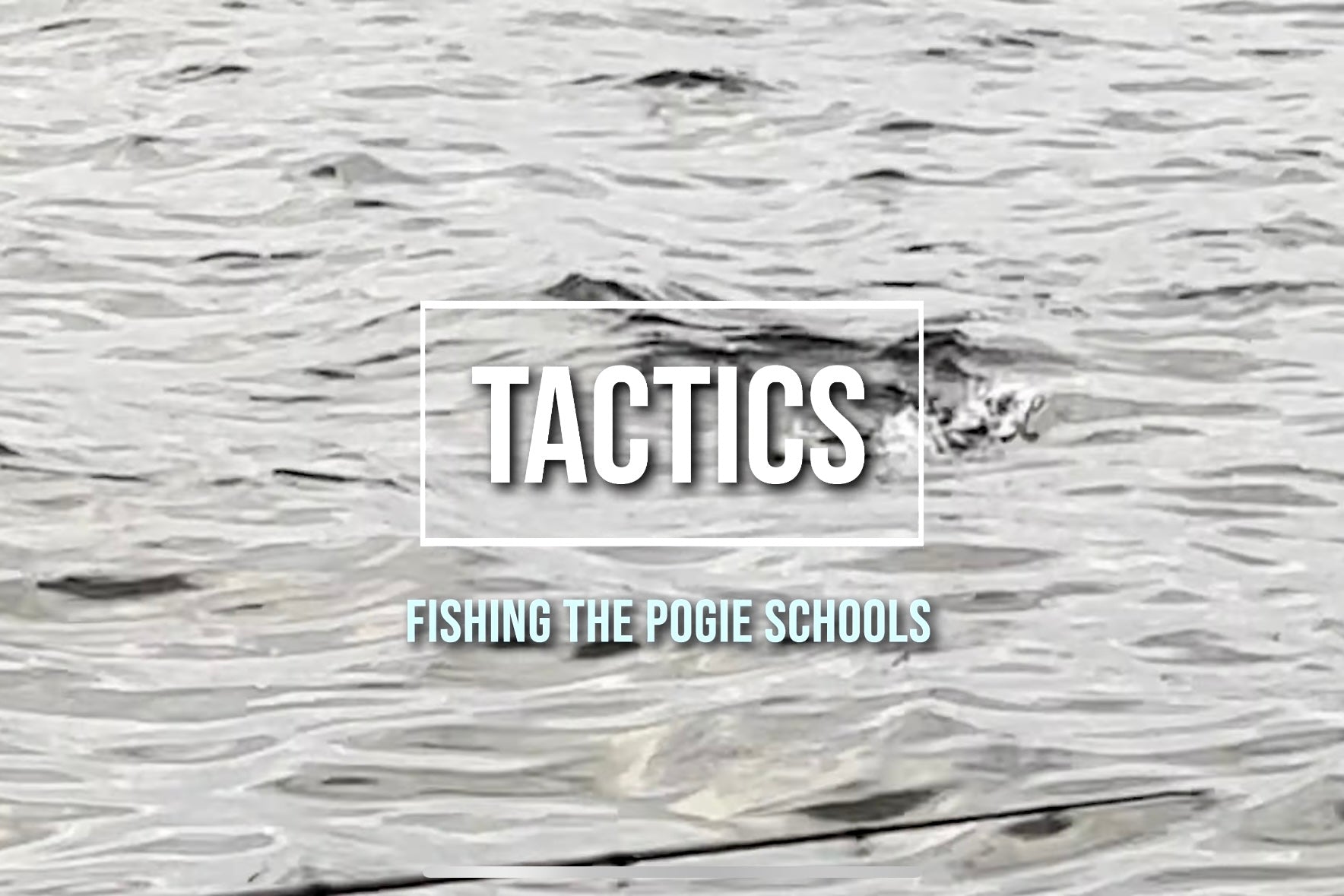 Episode 10: Striped Bass and Pogies