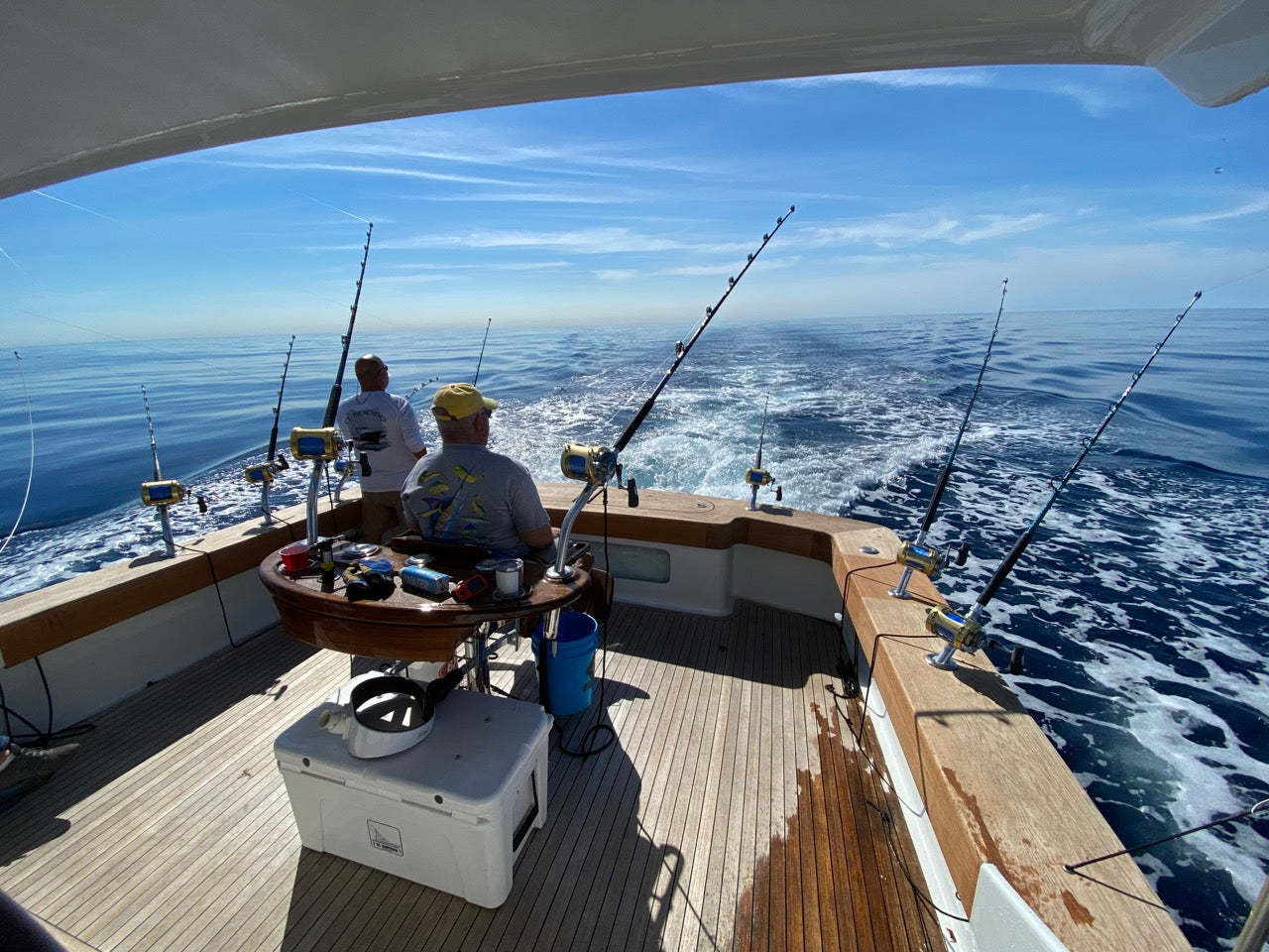 Billfish & Bluewater Species - Sailfish