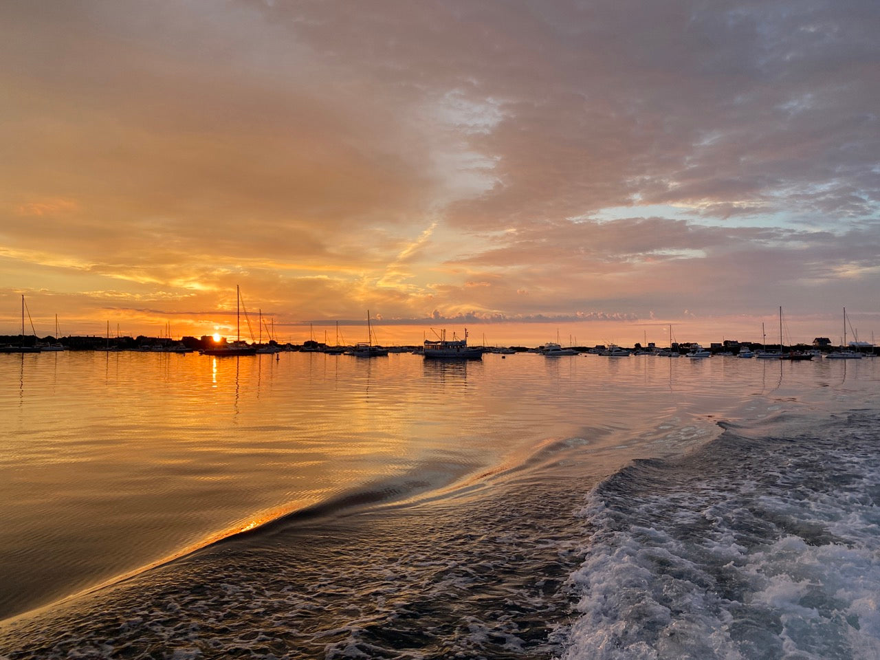 Inshore Species - Fluke
