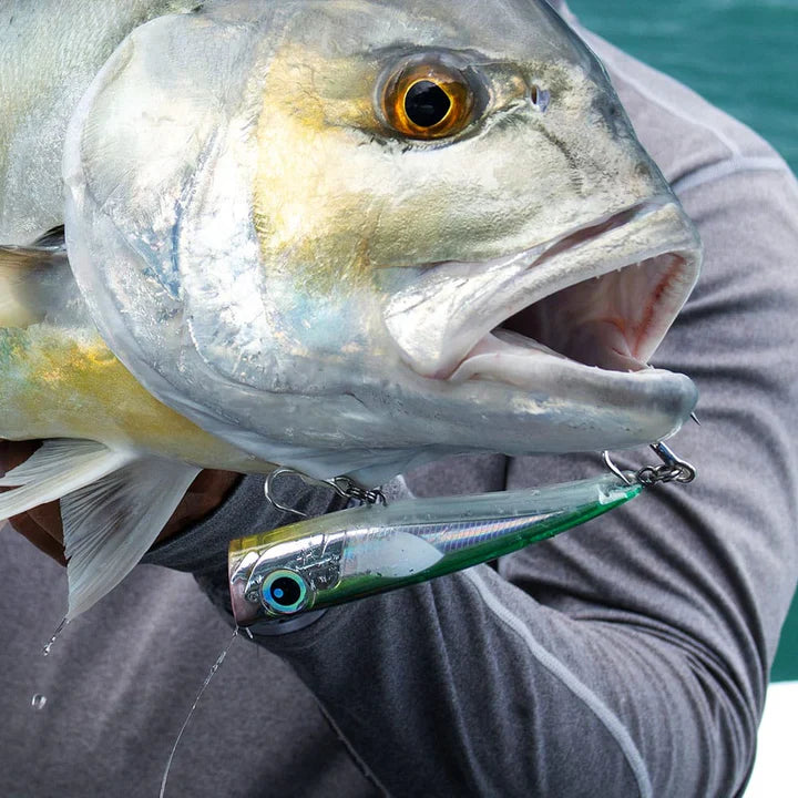 Malosi Lures Collection