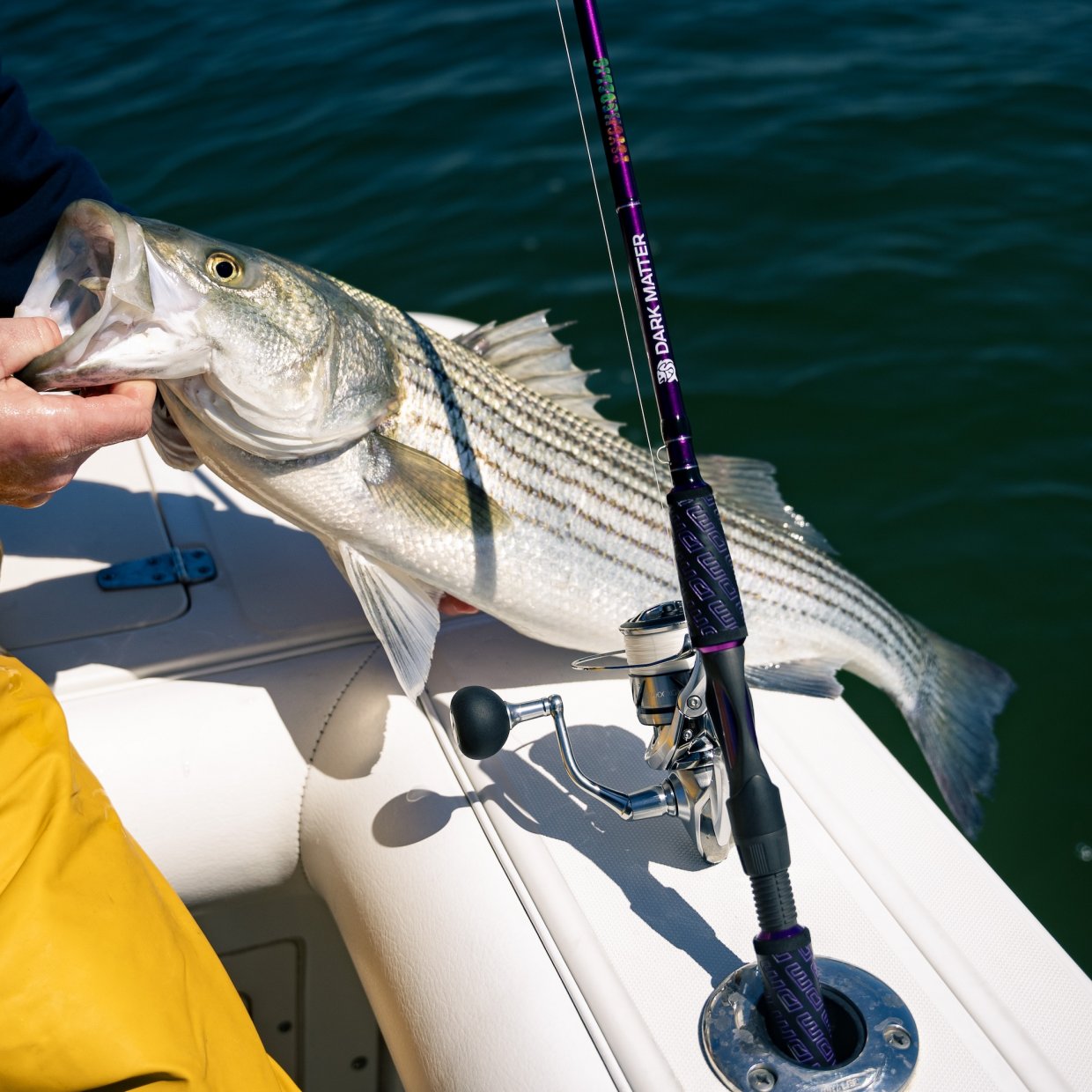 Dark-Matter-Psychedelic-Inshore-Spinning-Rod-Purple-Striped-Bass