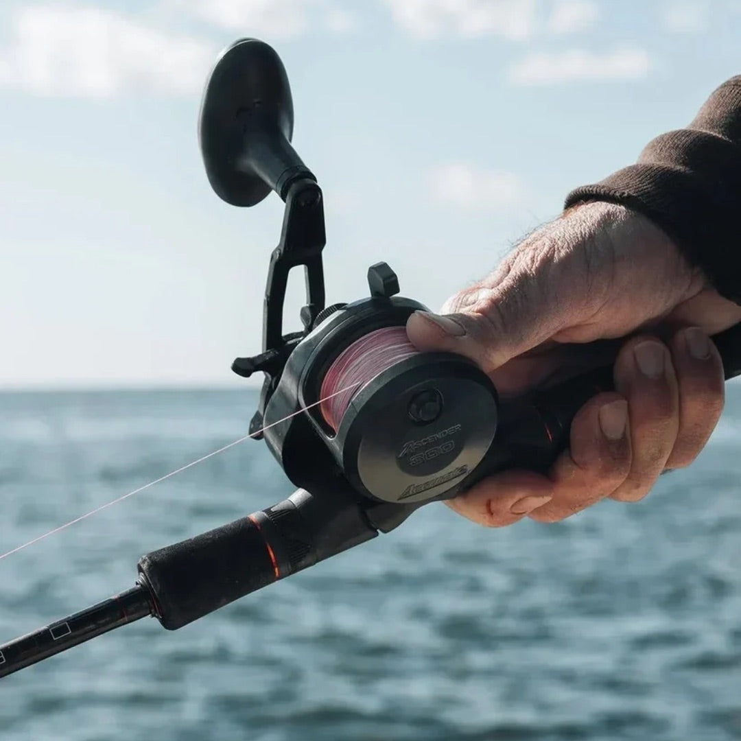 accurate-ascender-star-drag-saltwater-conventional-reel-lifestyle
