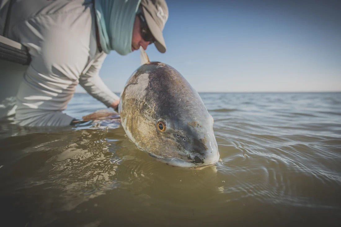 Cortland - Cold Salt Series - Redfish Fly Line