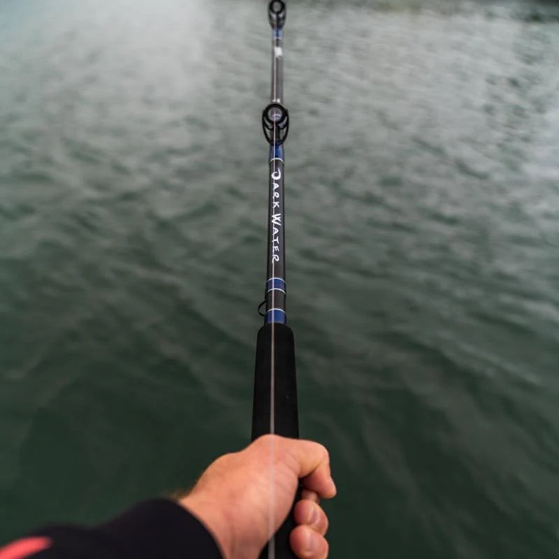 daiwa-darkwater-saltwater-conventional-striped-bass-rods-lifestyle
