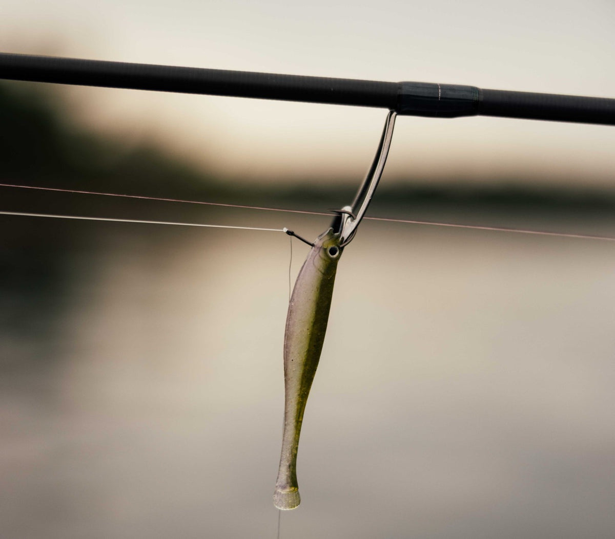 megabass-haze-st-minnow-freshwater-minnow-bait-lifestyle-2