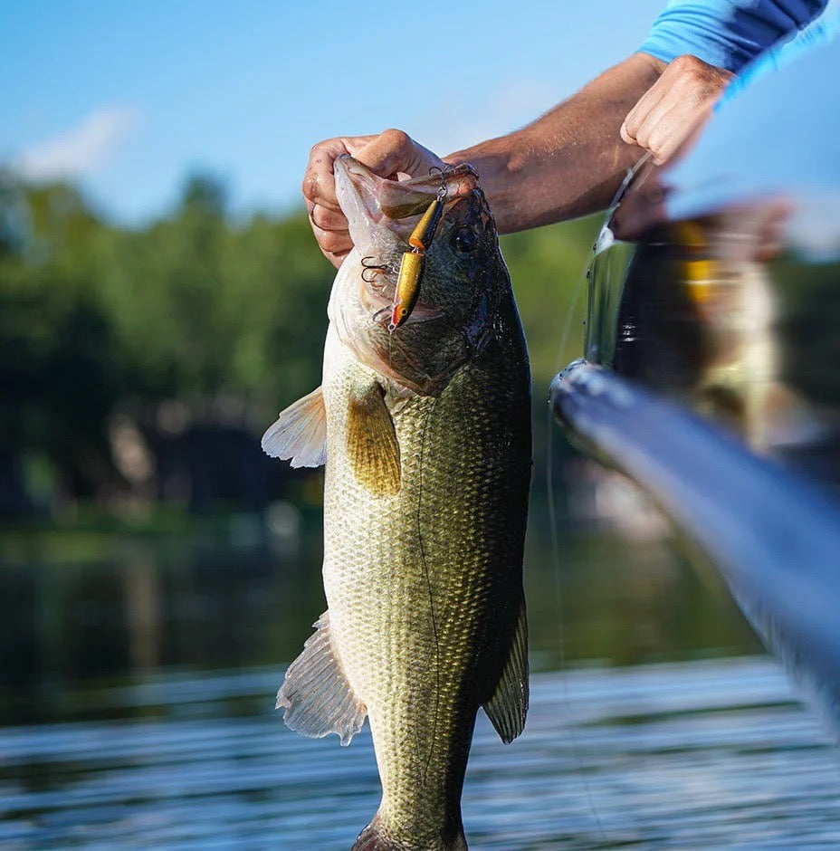 Rapala - Original Jointed Floating Minnows