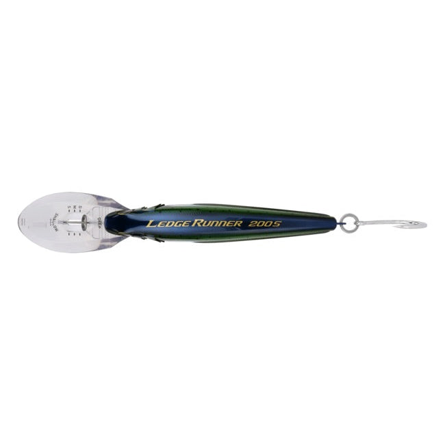 shimano-ledge-runner-200s-diver-mahi-flash-top