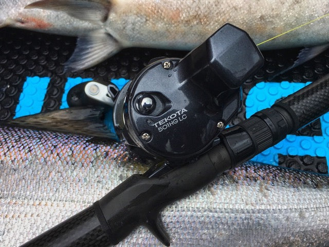 shimano-tekota-a-line-counter-conventional-reel-sku-TEK501HGLCA-lifestyle1