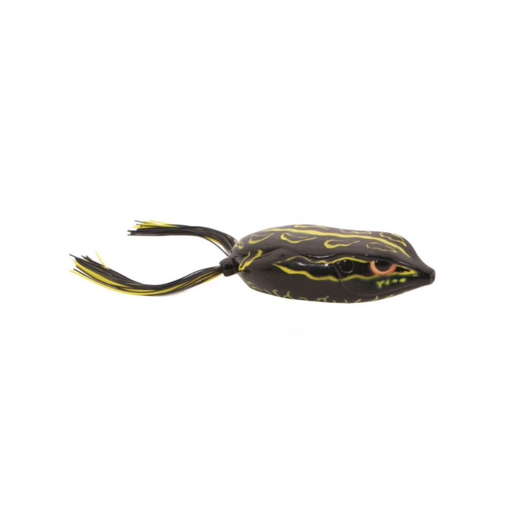 spro-bronzeye-frog-90-rainforest-black