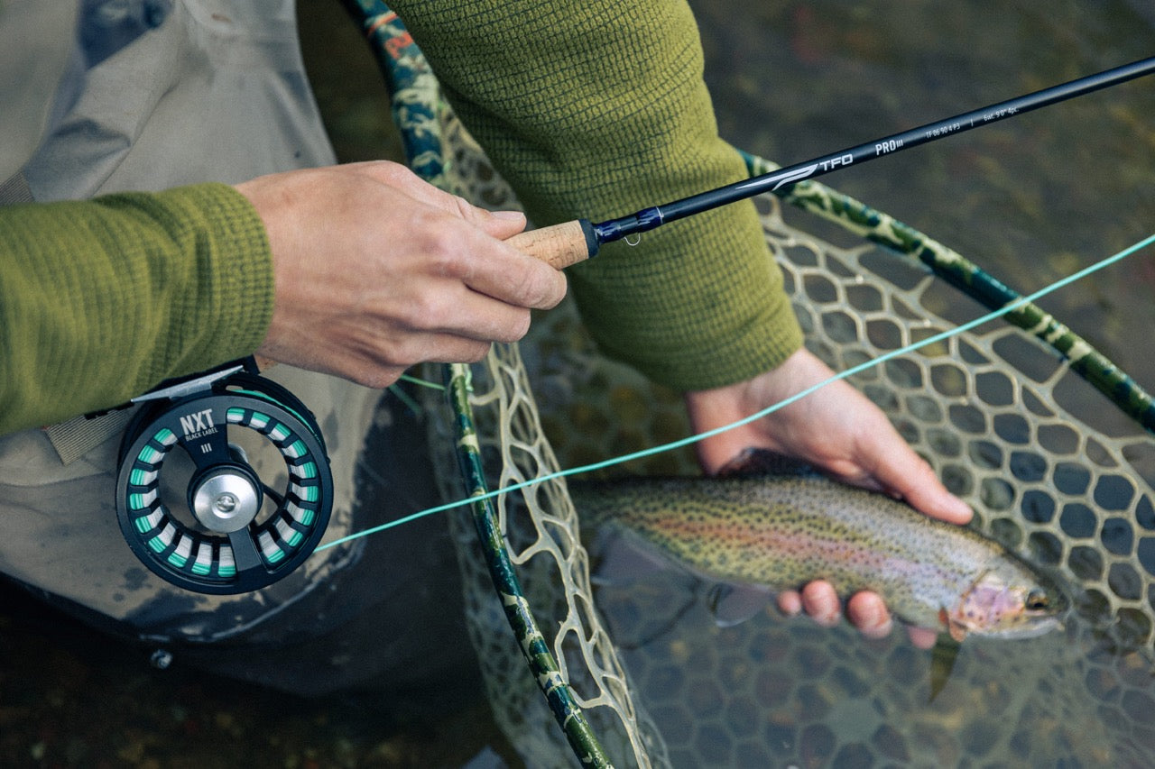 Person holding a fishing rod and net with a fish in a natural setting