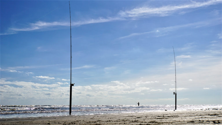 Temple Fork - Tactical Surf Spinning Rods