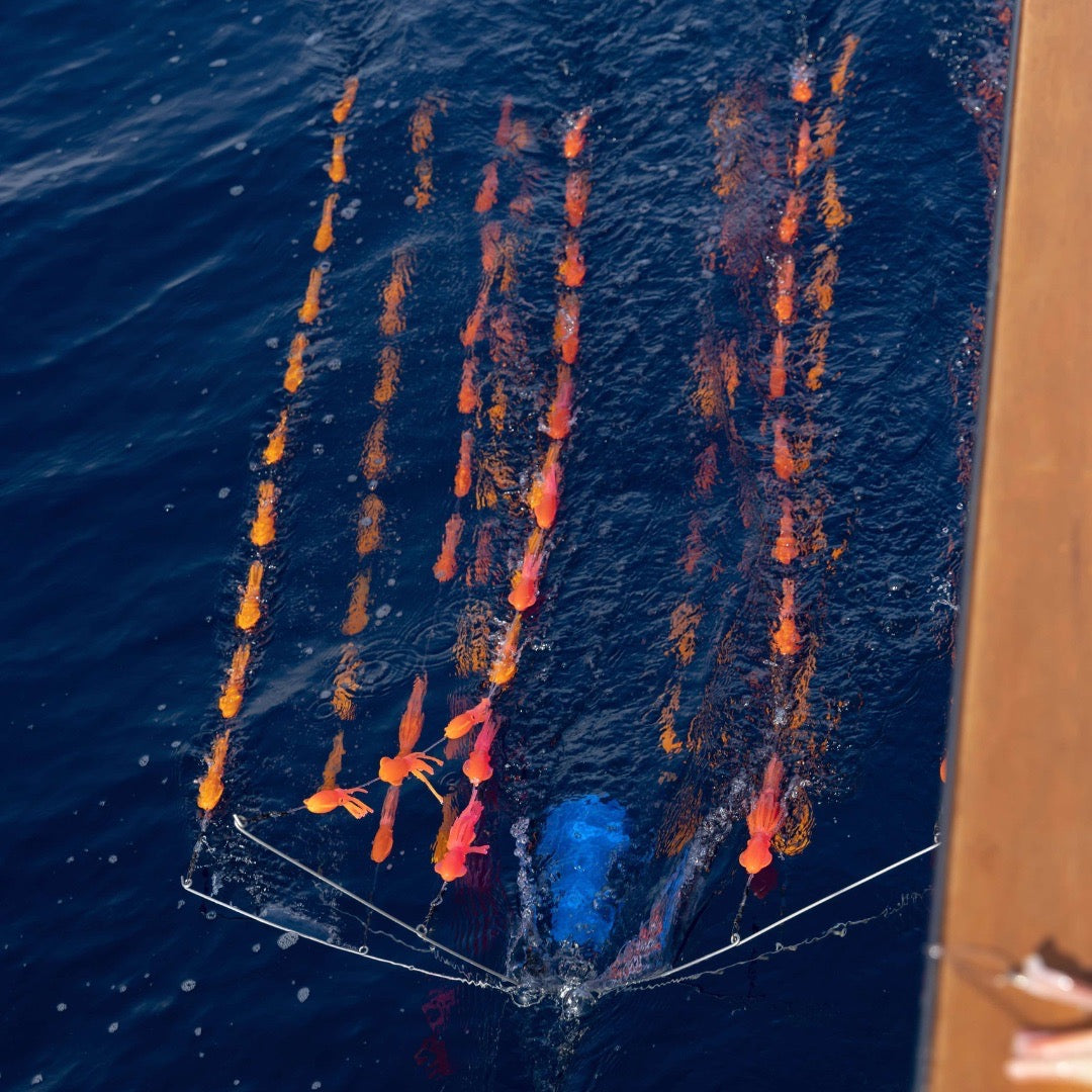 troll-pro-3-dredge-go-pro-camera-housing-swimming