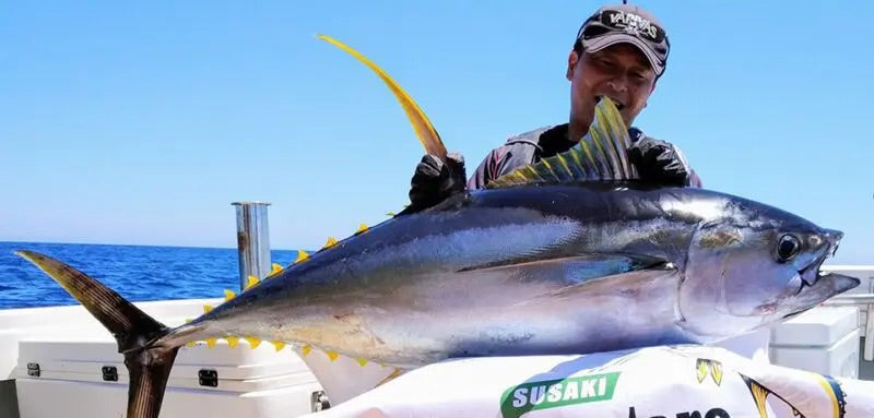 Varivas - Avani Casting PE Max Power X8