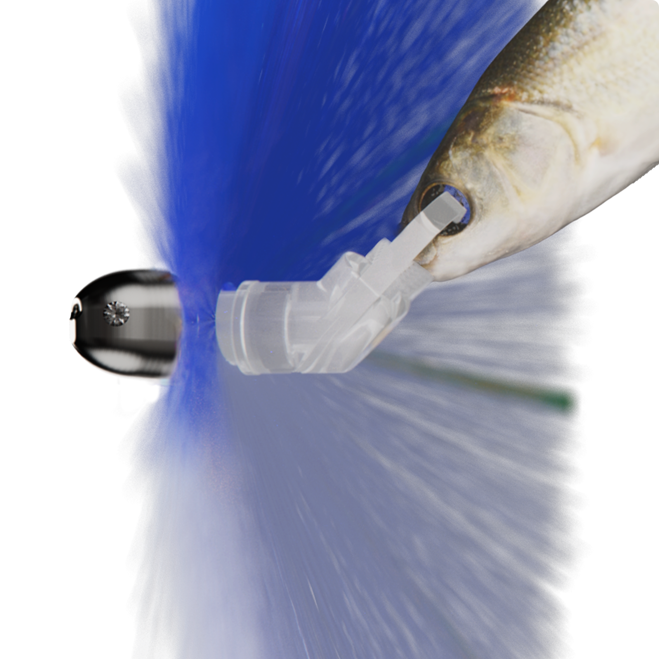 wolfpack-tackle-ballyhoo-zip-rig-large-split-bill-rigged