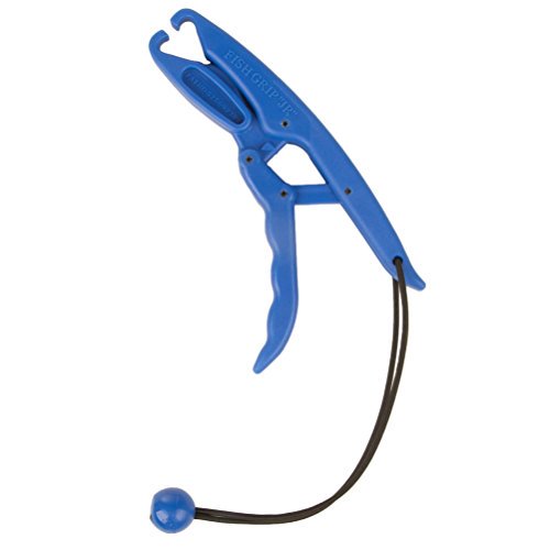 The Fish Grip - Gamefish Model