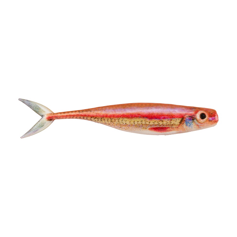 Berkley PowerBait 3.4” Champ Minnow - Fish & Tackle