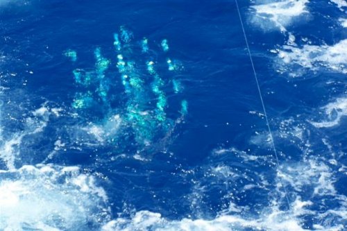 Blue Water Candy - Marlin Mag Dredge