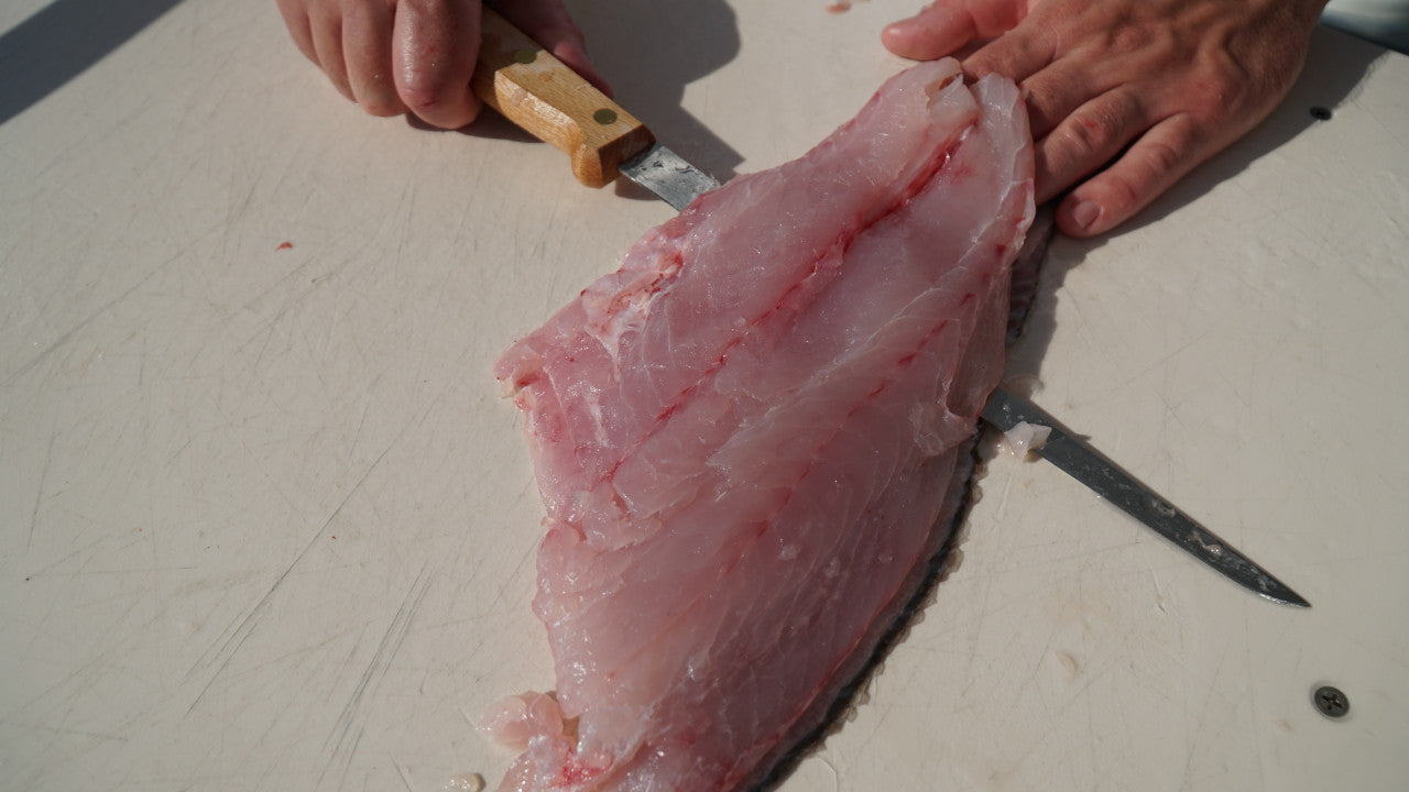 Dexter - 8in Traditional Fillet Knife