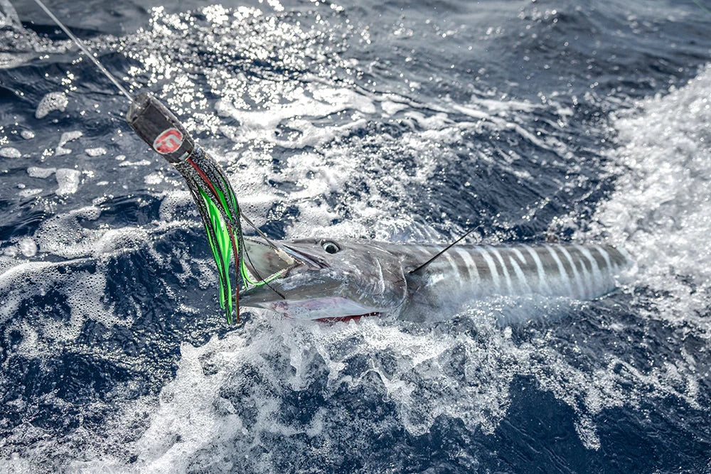 Fathom Offshore - Large Calico Jack Slant Face