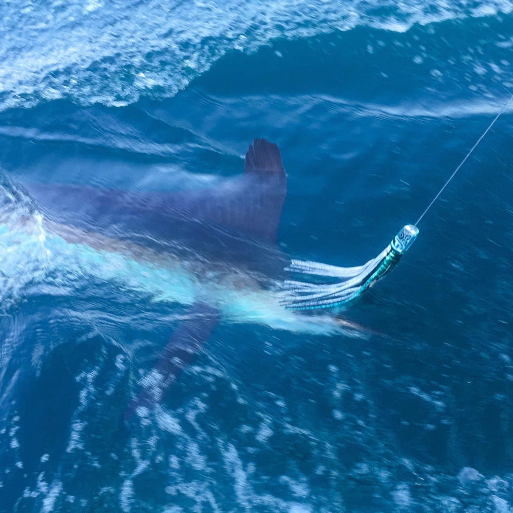 Fathom Offshore - Large Calico Jack Slant Face