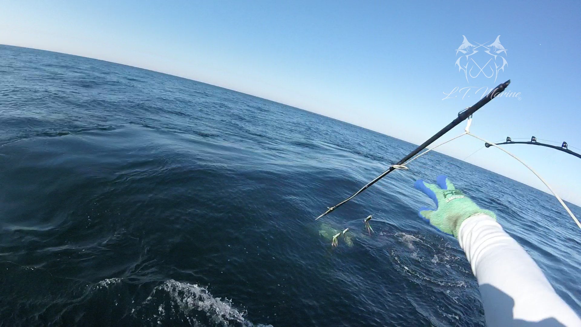 LT Marine - Commercial Series - Two Piece Cockpit Harpoon