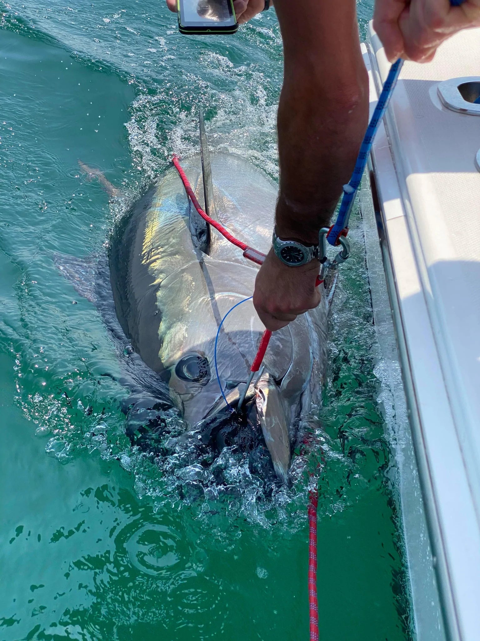 LT Marine - Heavy Duty Giant Tuna Release Hook