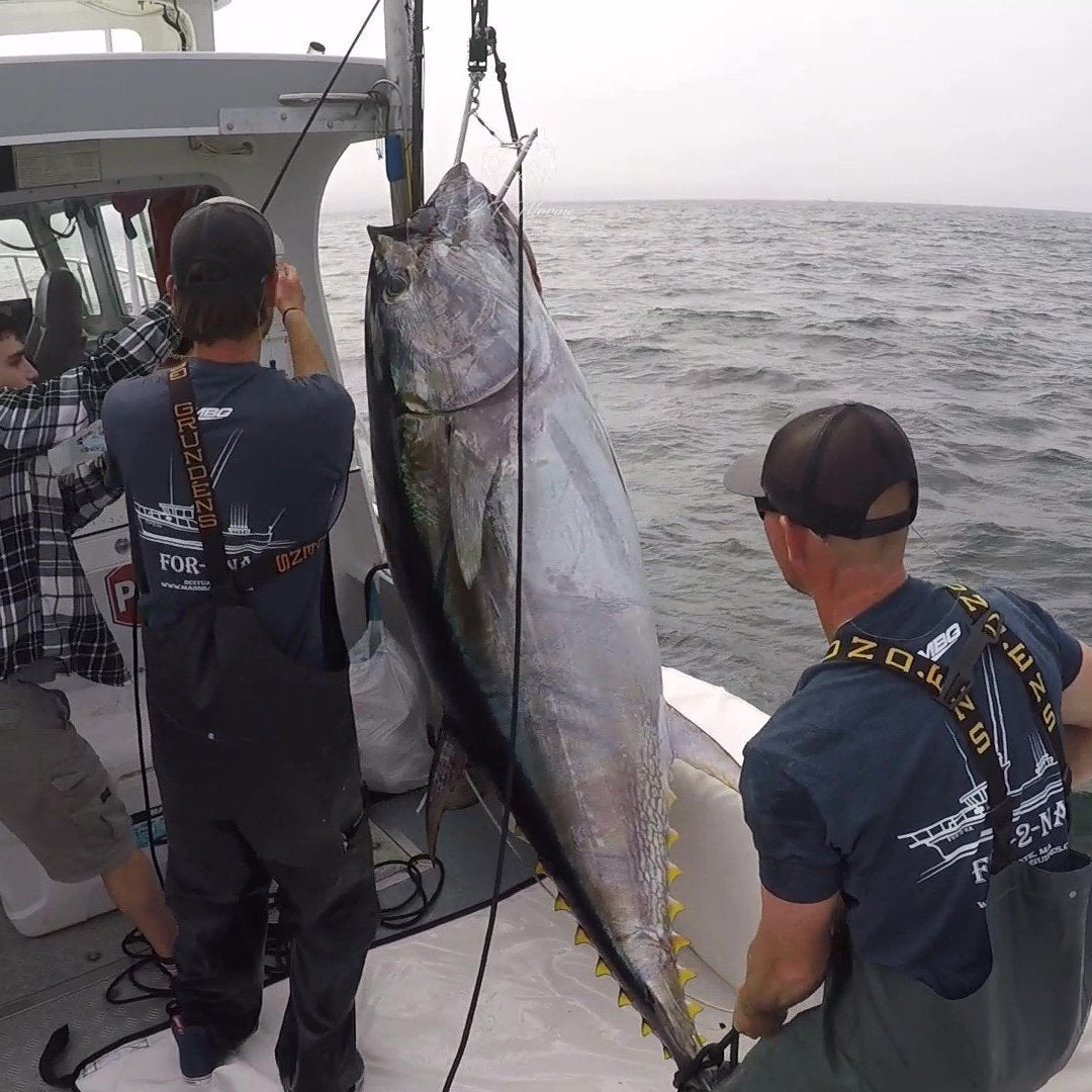 lt_marine_giant_tuna_swim_hook