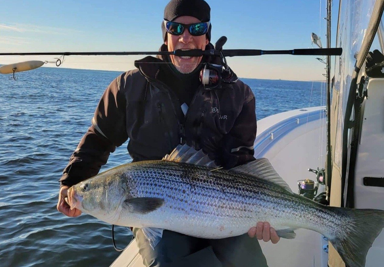 Nomad Design - Inshore Spinning Rods