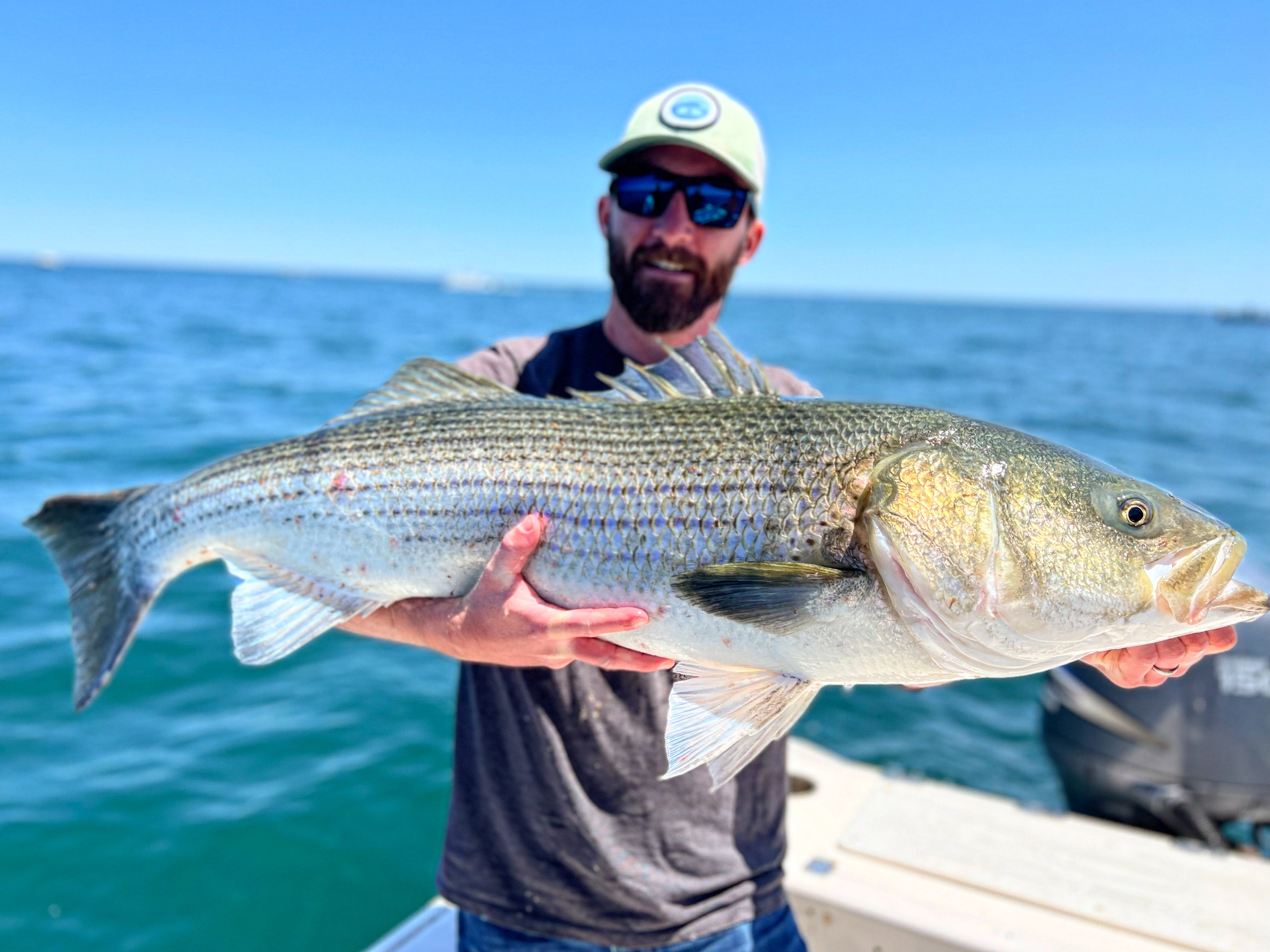 12 Tips for stripers in Plymouth/Duxbury Bay