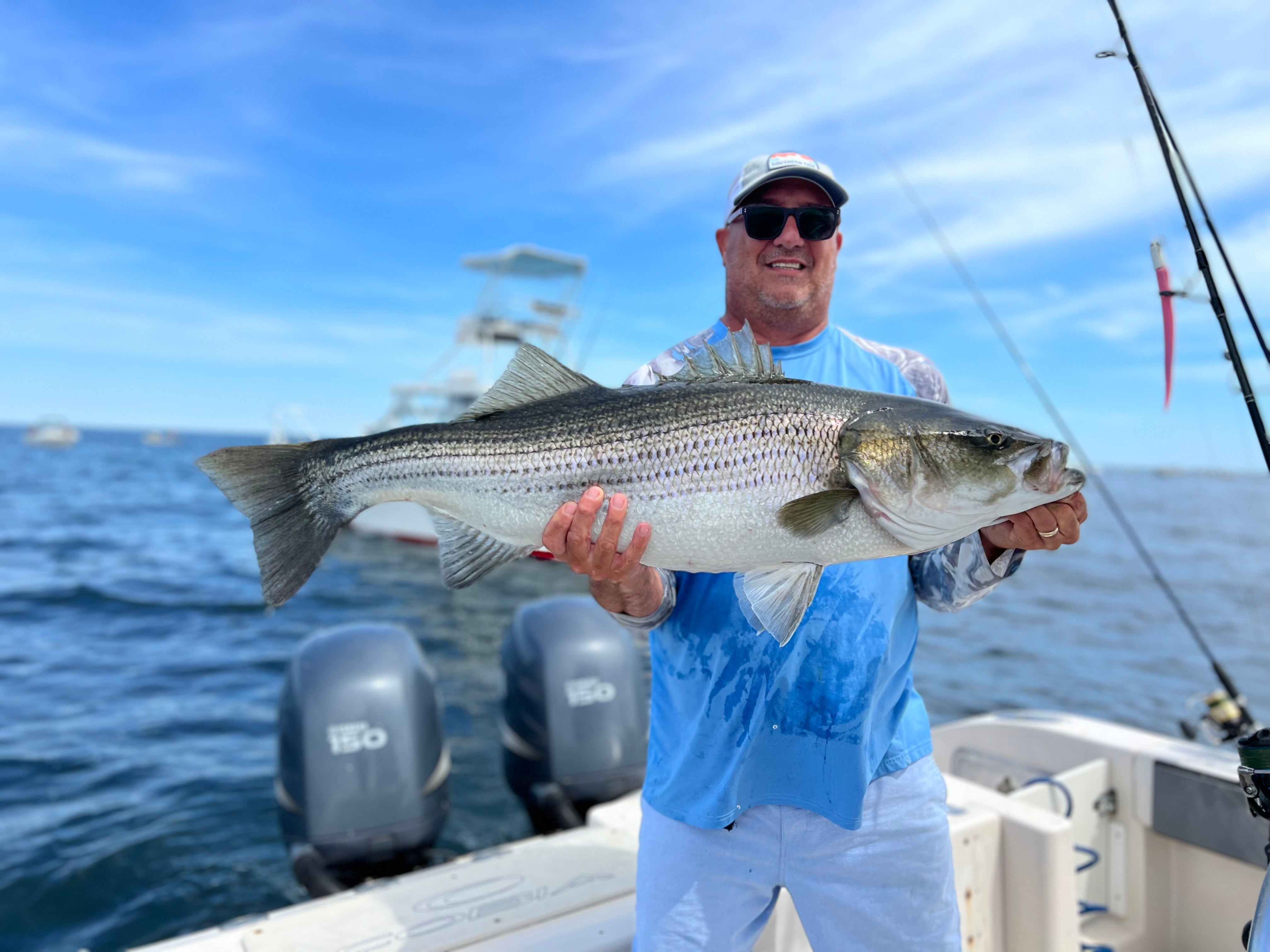 5 Areas to Catch Big Bass in Cape Cod Bay