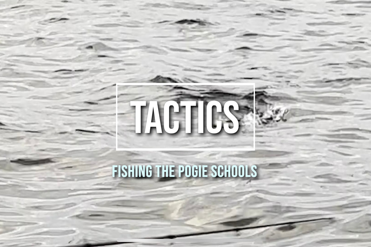 Episode 10: Striped Bass and Pogies
