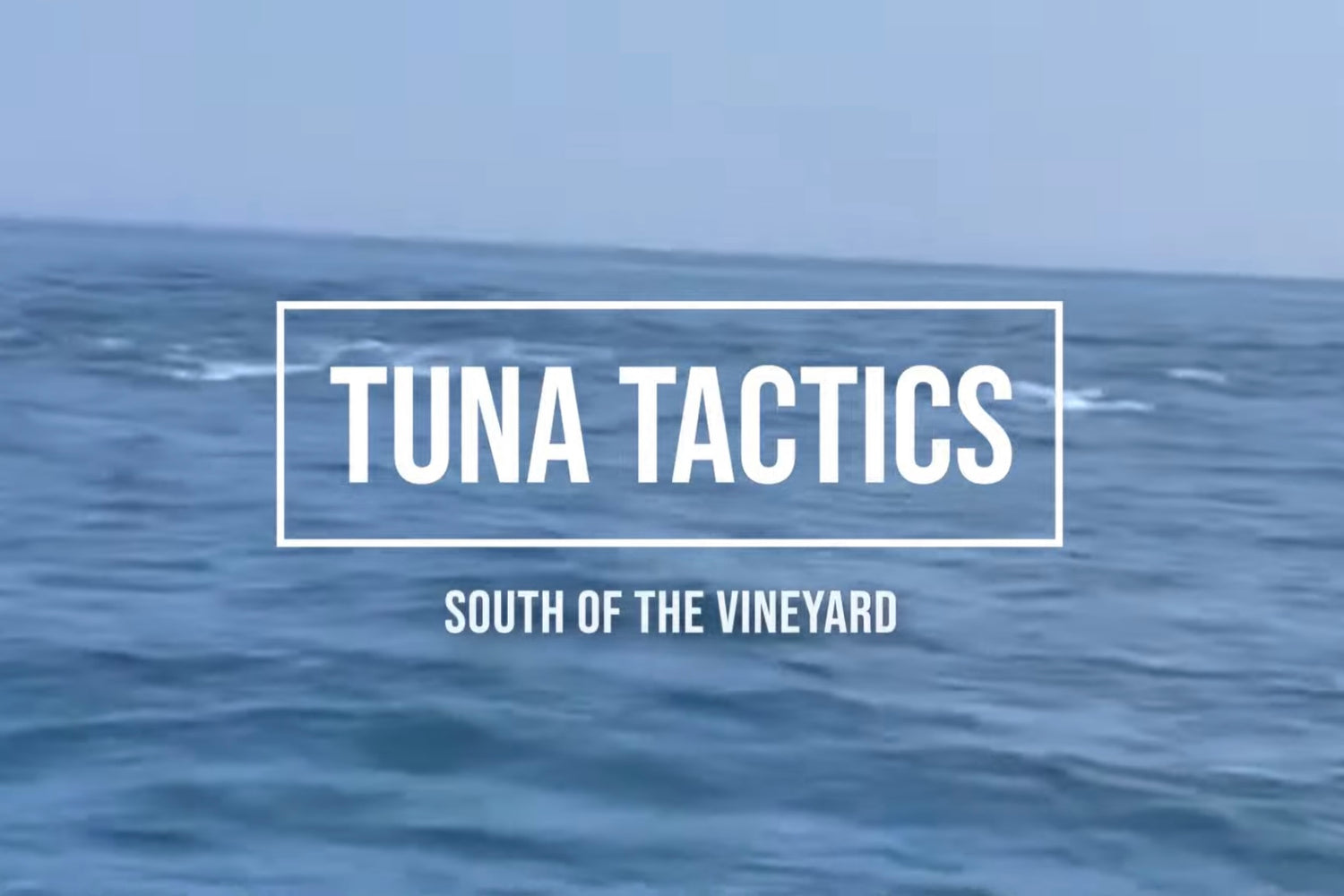 Episode 15: Tips & Tactics for Fishing South of Martha's Vineyard