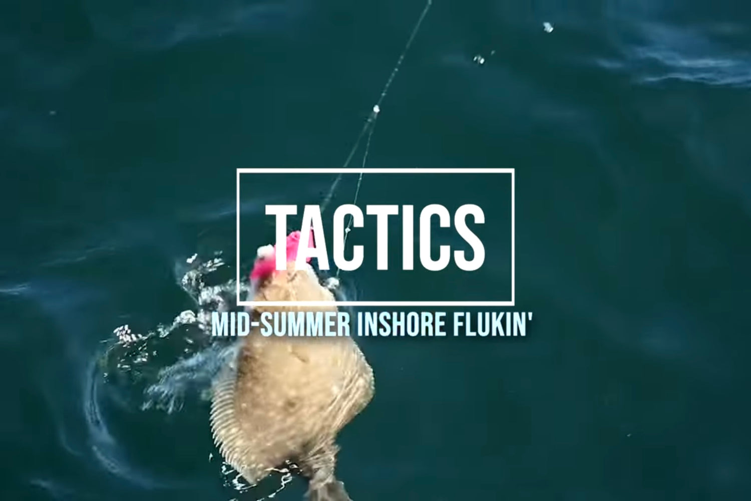 Episode 19: Inshore Fluke Fishing Basics