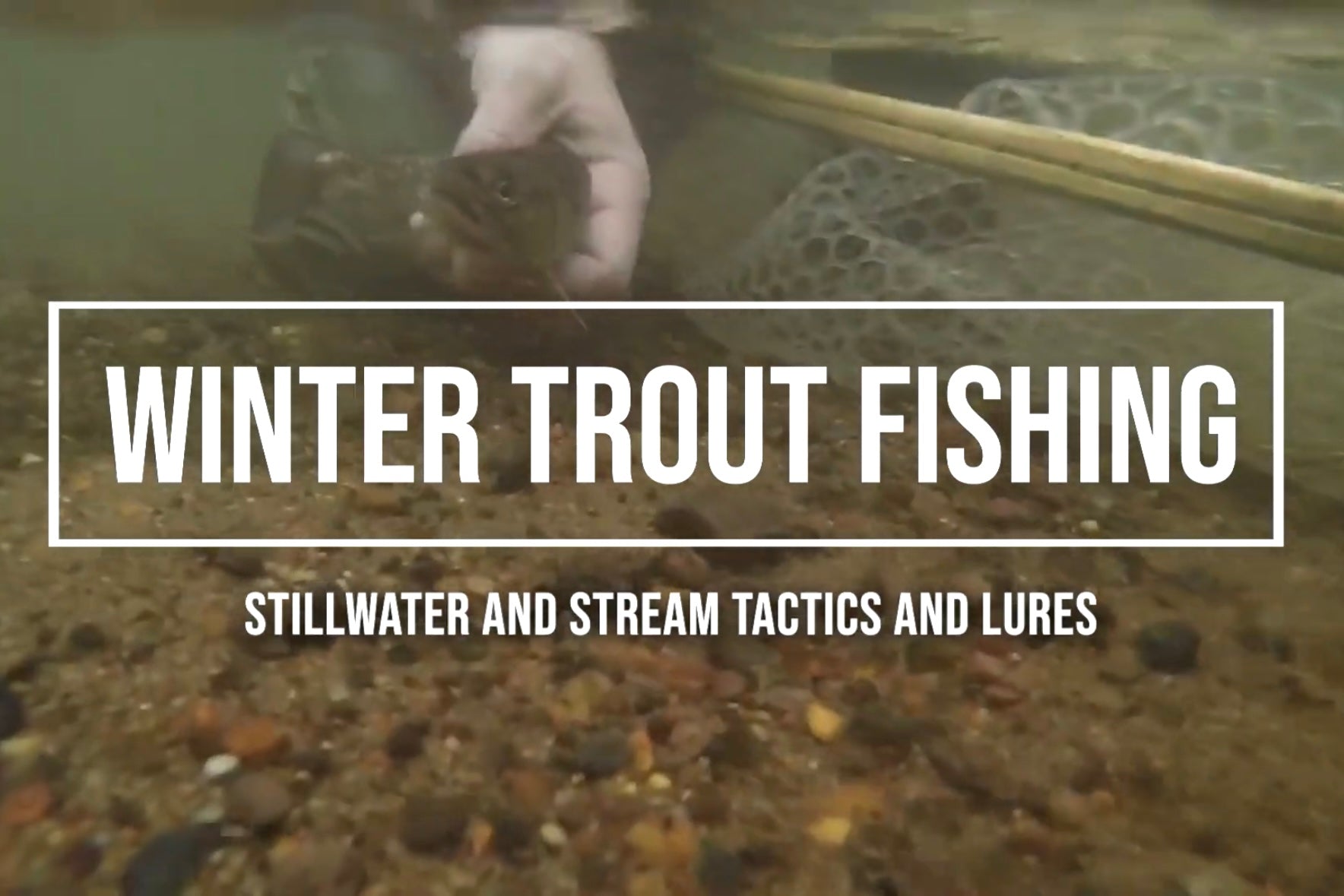 Episode 39: Winter Trout Fishing with Jesse Johnson