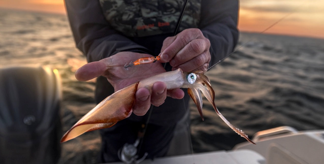 Tools & Accessories - Squid Jigs