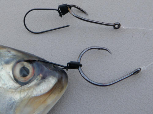 3D Fishing Products - Ultimate Bait Bridle