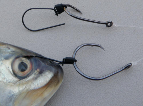 bridle hook fishing Ultimate Bait Bridle Offshore