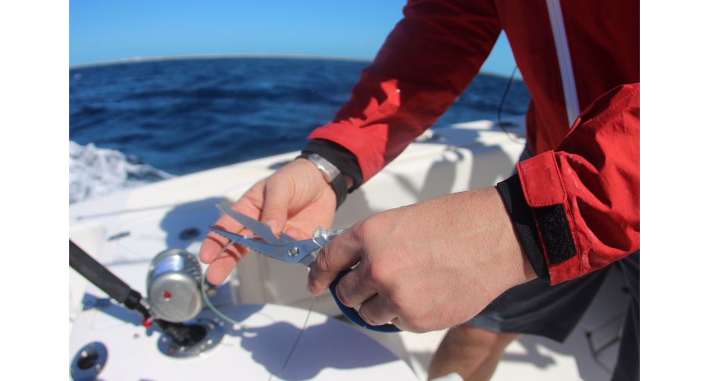 cuda_8in_titanium_bonded_detachable_marine_shear_5