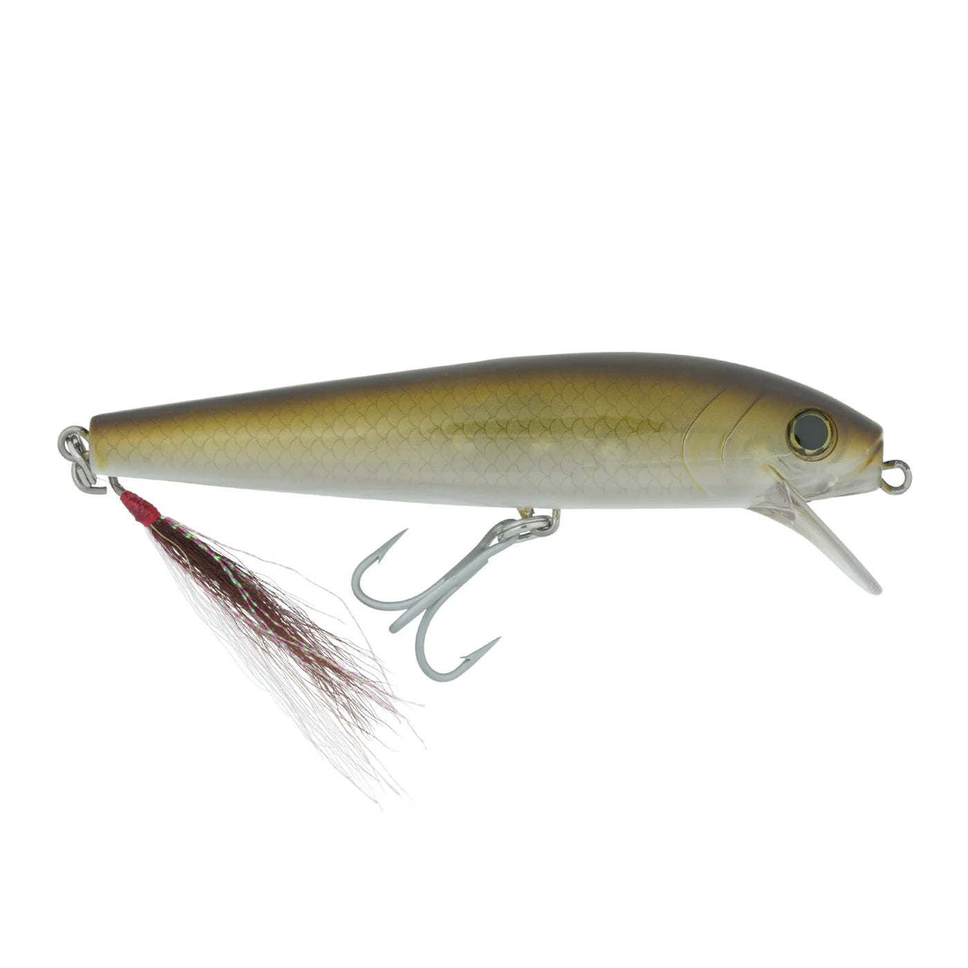 hogy-charter-grade-og-swimmer-fatty-5in-olive