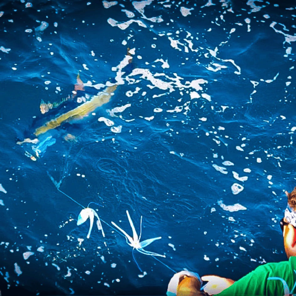 magictail-outfitters-bigeye-chain-with-magic-ballyhoo-paddletail-bigeye