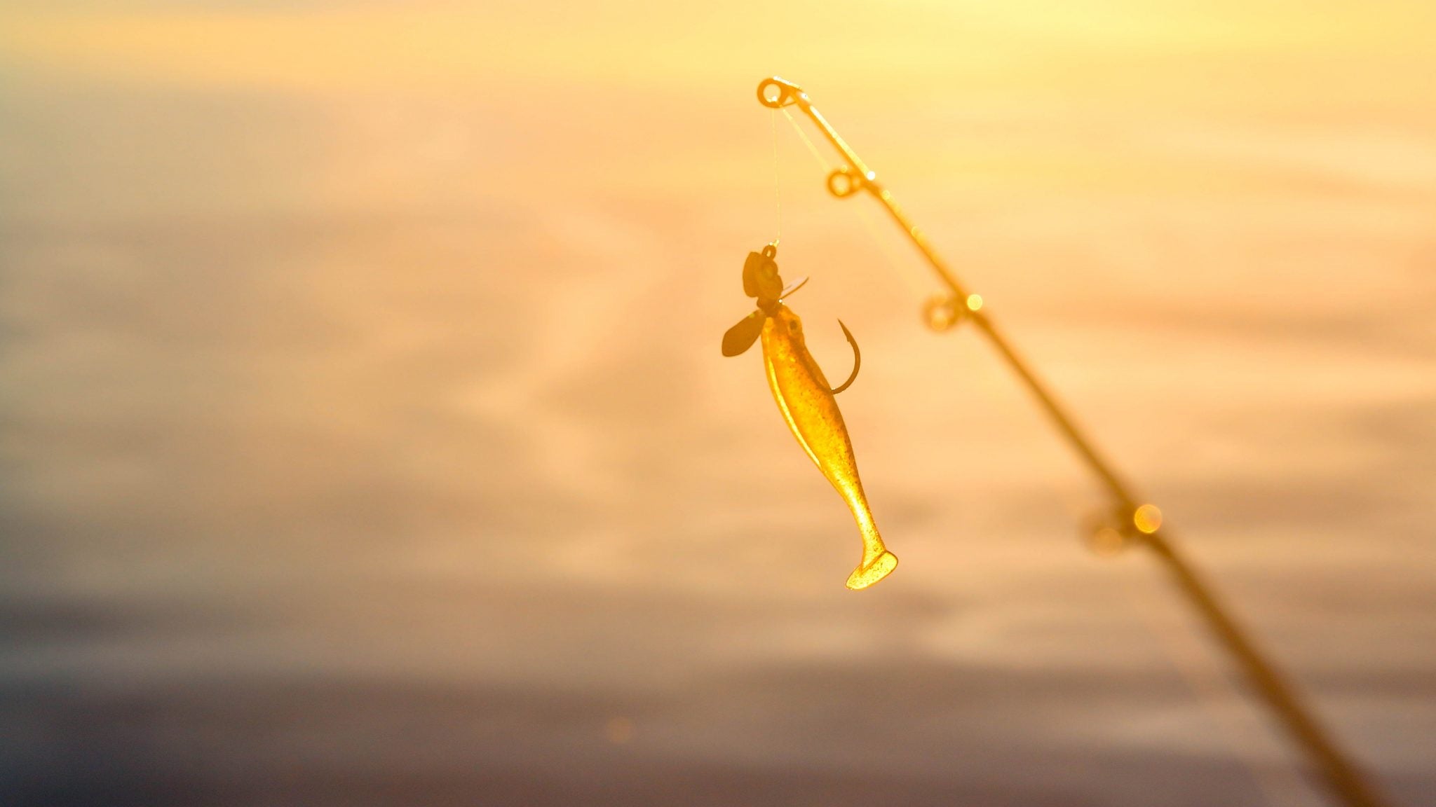 Megabass - 3in Hazedong Shad