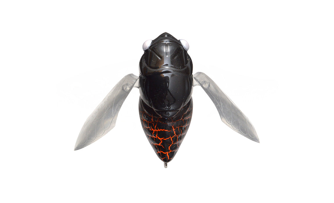 megabass-grand-siglett-cicada-kuro-ageha