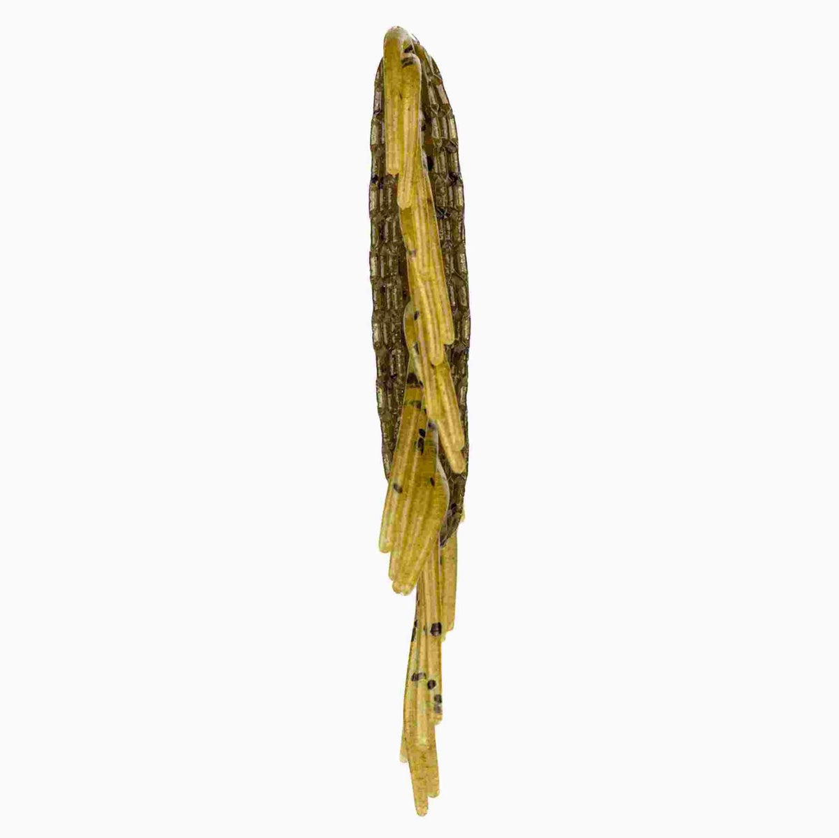 netbait-hextek-virus-creature-soft-bait-X62505-green-pumpkin-side