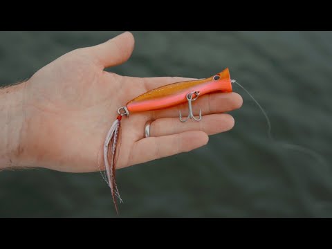 Hogy Micro Chug Popper 3 Product Highlight