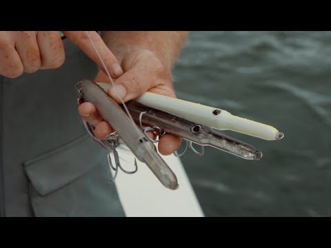 Hogy Charter Grade Perfect Needlefish Product Introduction with Features