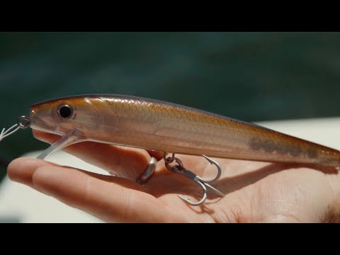 Hogy Product Feature: The Hogy OG Swimming Plug #hogylures