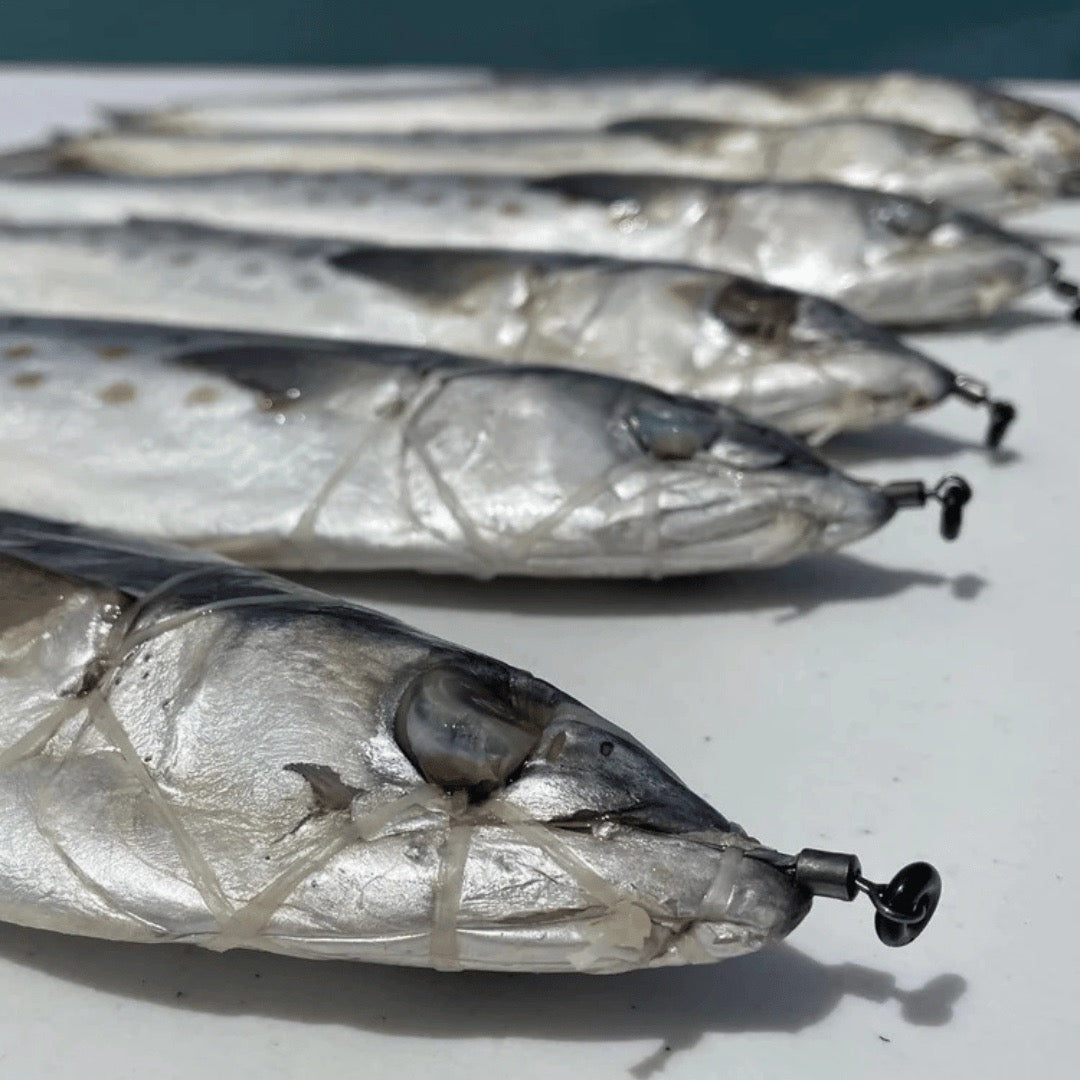ringer-swivels-spanish-mackerel