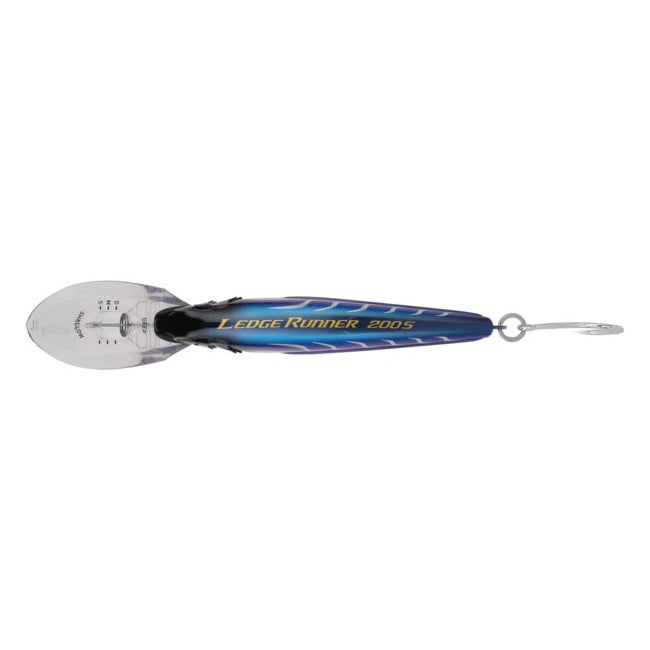 shimano-ledge-runner-200s-diver-amethyst-spark-top