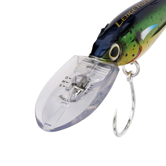 shimano-ledge-runner-200s-diver-mahi-flash-front