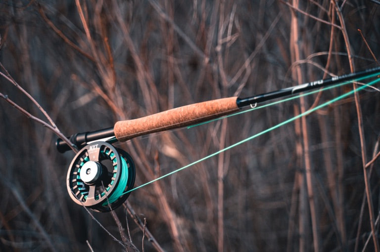 Temple Fork - NXT Black Label Fly Rod Kits